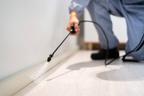 Licensed Termite Control service in Meeker, OK - Nex Pest Control