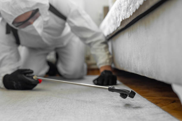 Professional Termite Control technician working in Meeker, OK
