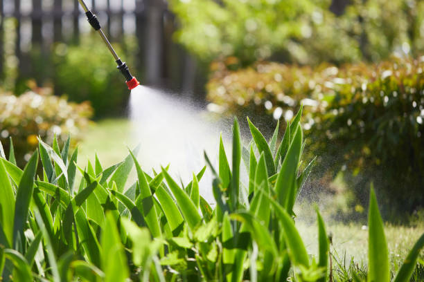 24/7 Emergency Termite Control experts in Meeker, OK