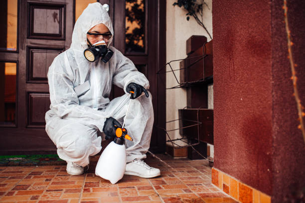Reliable Termite Control contractor in Meeker, OK by Nex Pest Control